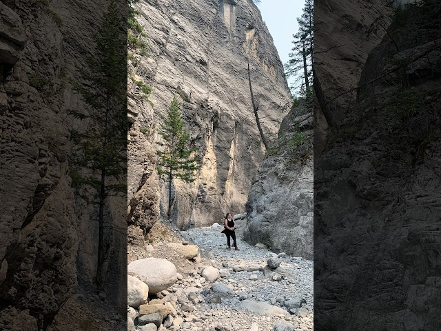 Have you hiked Grotto Canyon? #hike #hiker #canyon #alberta #mountains #explore #canada #vlog#mylife