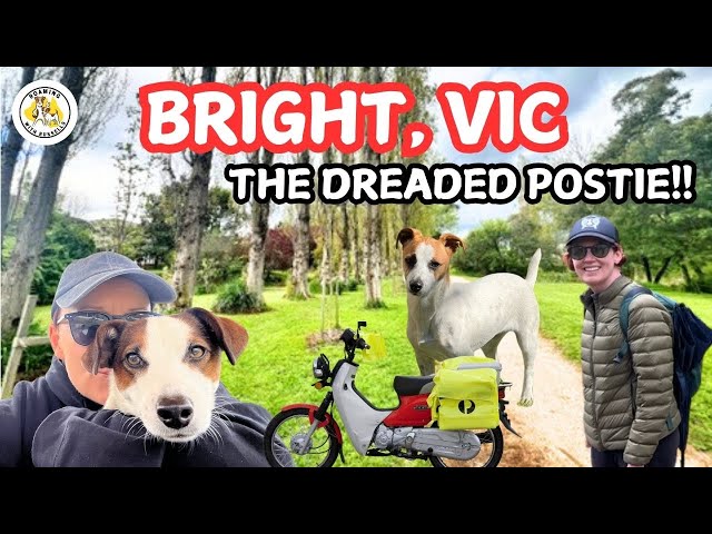 Exploring Bright, VIC | Canyon Walk, Dog-Friendly Adventures, & Tasting Paddle at Bright Brewery