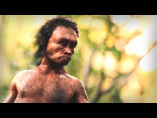 Homo Naledi - Ancient Human