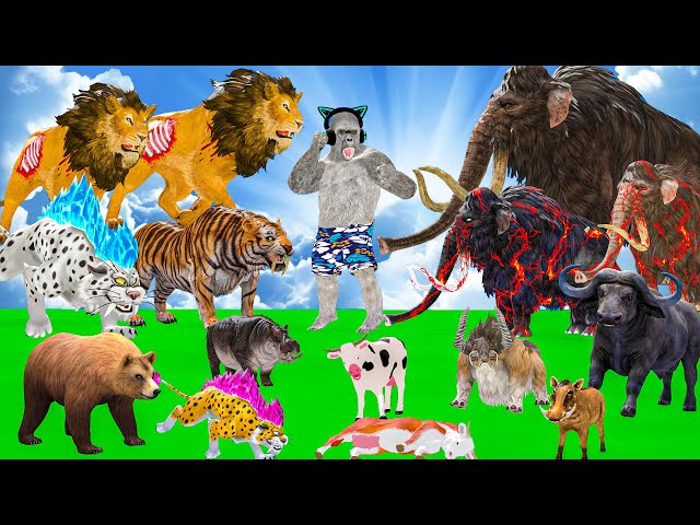 15 Mammoth Elephant Cow Gorilla vs 5 Giant Tiger Wolf Zombie Fight Baby Cow Saved By Woolly Mammoth