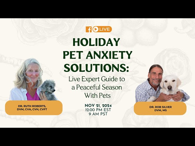 Holiday Pet Anxiety Solutions: Live Expert Guide to a Peaceful Season With Pets