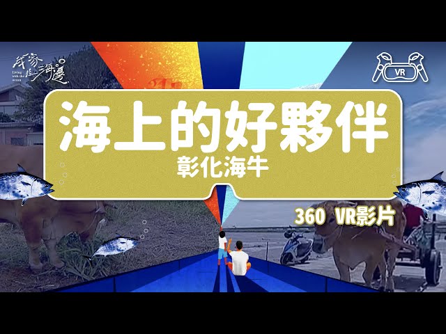 海上的好夥伴(彰化海牛)｜【我家住海邊】VR專區