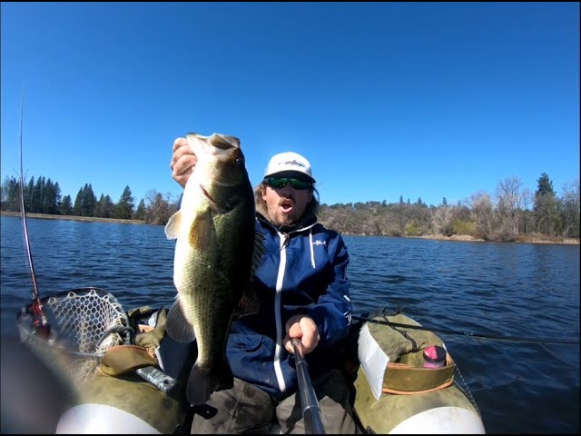 Chasing California's Double Digit Largemouth Bass Fishing Nor Cal / Nature & Wildlife Report 2021