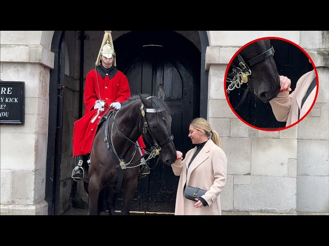 Horse Bites Her Jacket 🙂