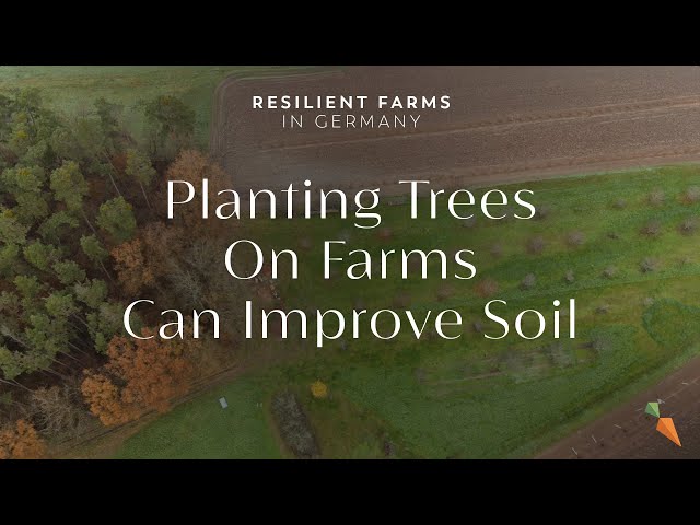 Planting Trees On Farms Can Improve Soil | Resilient Farms in Germany