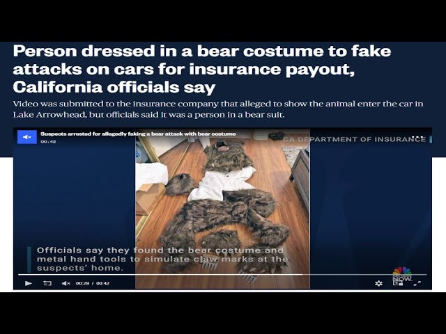 Stupidest Insurance Fraud Ever