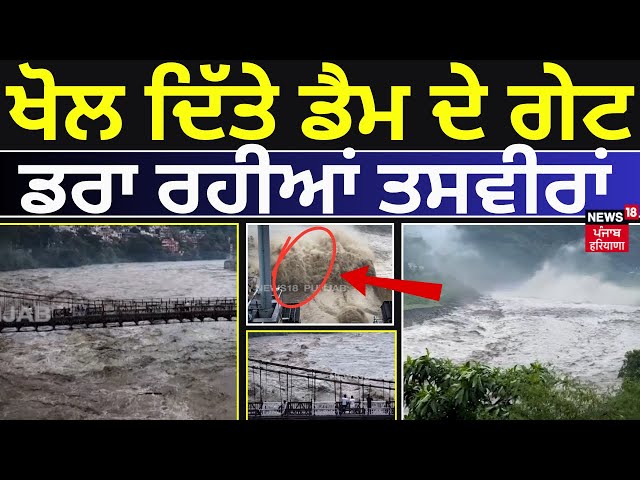 LIVE | ਚਾਰੇ ਪਾਸੇ ਪਾਣੀ ਹੀ ਪਾਣੀ, ਡਰਾ ਰਹੀਆਂ ਤਸਵੀਰਾਂ | Flood Gates | Himachal Flood | Water Level