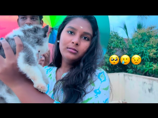 Riya ku udambu mudila😣|#love #puppy #husky #dog #couplegoals #couple #funnycouple #funny #comedy