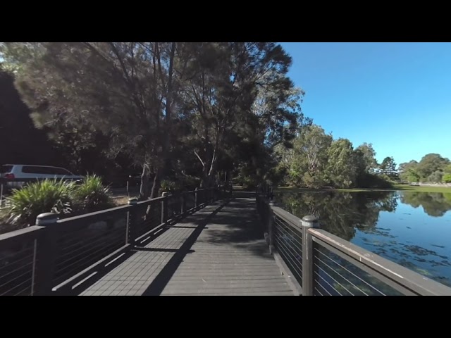 Australia - Queensland - Gold Coast - Regional Botanic Gardens (VR180) walkthrough