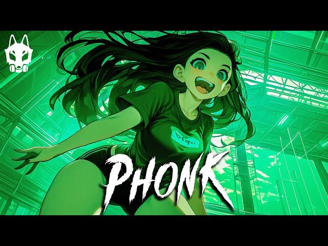 THE BEST GYM PHONK 2024 ※ GYM, AGGRESSIVE, FUNK ※ BEST WORKOUT MUSIC PLAYLIST ※ Фонк 2024 #051