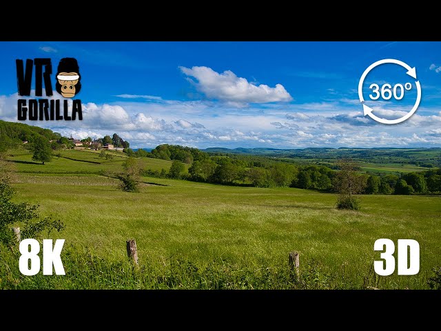 The Morvan Regional Natural Park in Burgundy, France -  8K 360 VR Video (short)