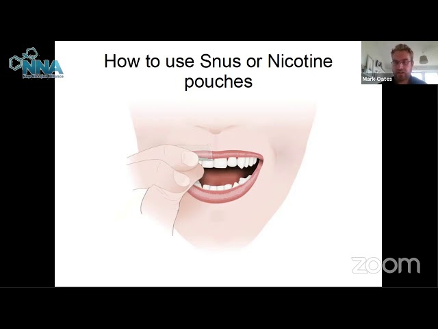 A UK guide to Snus & Nicotine Pouches