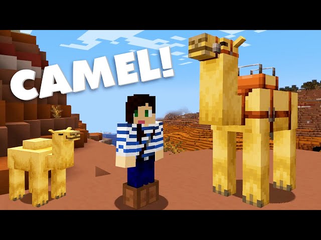 Seeing Minecraft camels for the first time!