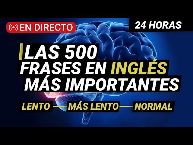 💤APRENDER inglés ESCUCHANDO MIENTRAS DUERMES 🦻 Las 500 Frases Más Utilizadas-Aprender Ingles Rápido