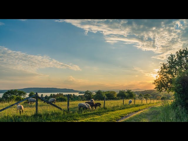 Virtual tour of the Cotswolds - Experience the English countryside with this 360 interactive tour