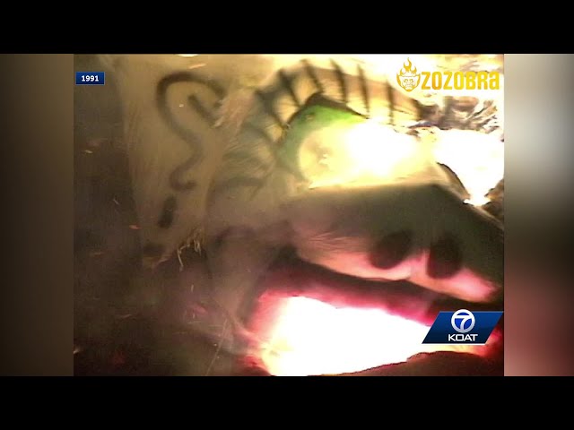 1991 Burning of Zozobra