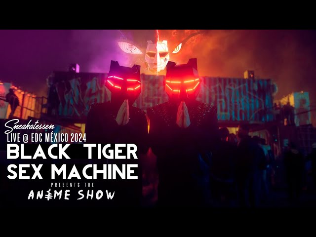 Black Tiger Sex Machine Full Anime Set live @ EDC México 2024 (Wasteland Stage)