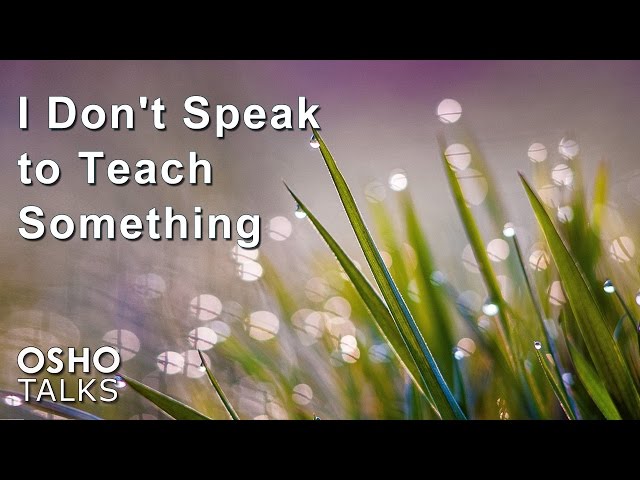 I Don't Speak to Teach Something