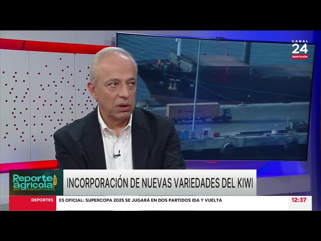 🔴 EN VIVO | Noticias de Chile y el mundo en cualquier momento del día | 24 Horas TVN Chile