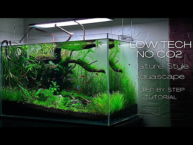 LOW TECH NO CO2 PLANTED AQUARIUM | STEP BY STEP SETUP | AQUASCAPING TUTORIAL