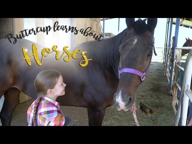 Gymnast Tries Horseback Riding For Kids| Buttercup SGG