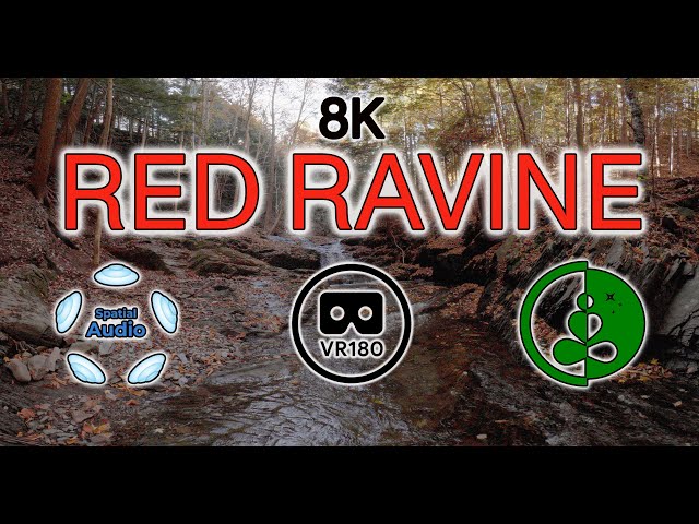 RED RAVINE | 8K 180° VR | Immersive Fall Stream with Spatial Audio | Relaxation & Nature