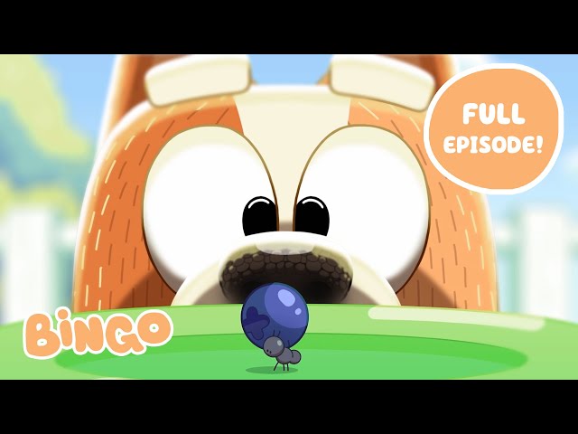 Bingo 🧡 FULL EPISODE | Bluey Series 2 | Bingo - Official Channel