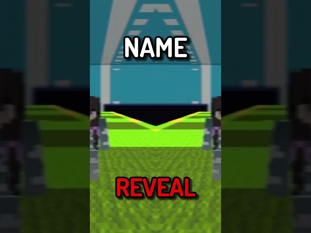 Minecraft, But I REVEAL My NAME…