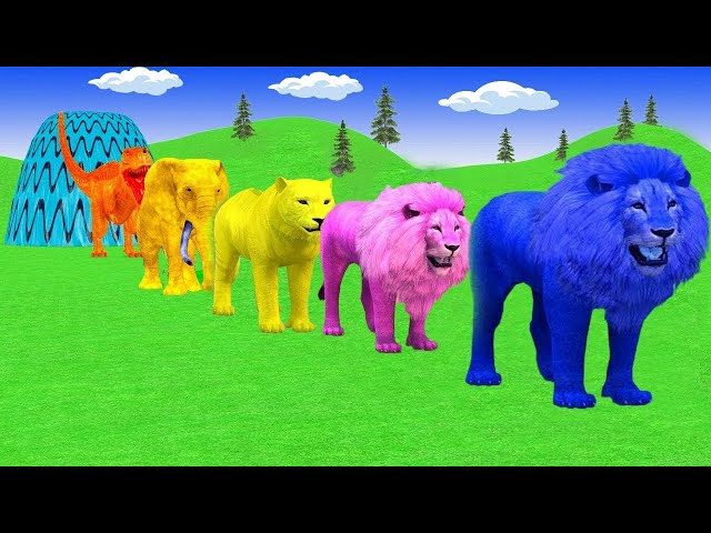 Long Slide Game With Elephant Gorilla Buffalo Hippopotamus Tiger - 3d Animal Game - Funny 3d Animals