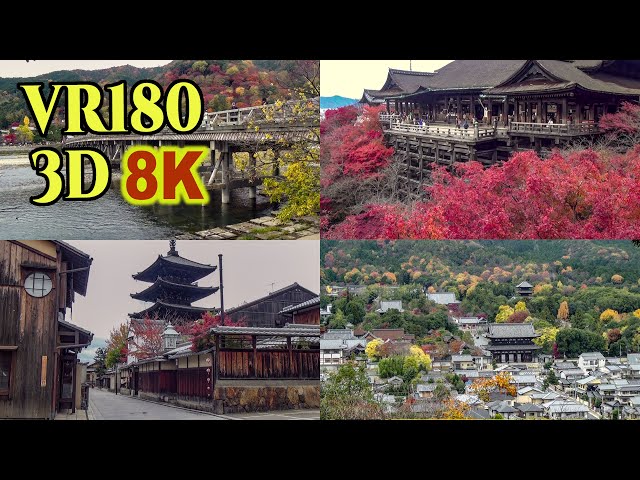 [ 8K 3D VR180 にはめ込んだ 昔の3D映像] 京都の紅葉 Autumn leaves in Kyoto, shot on SONY HDR-TD10,old 3D video camera