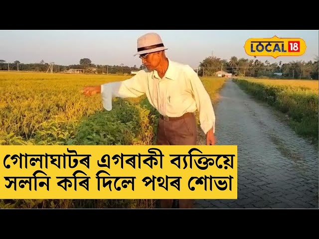 গোলাঘাটৰ এগৰাকী ব্যক্তিয়ে সলনি কৰি দিলে পথৰ শোভা #local18