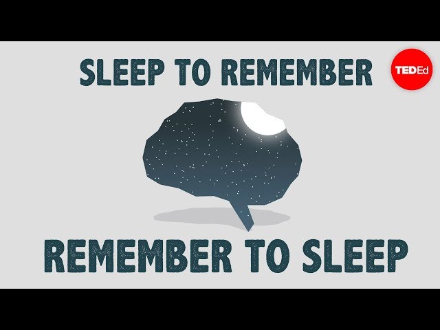 The benefits of a good night's sleep - Shai Marcu