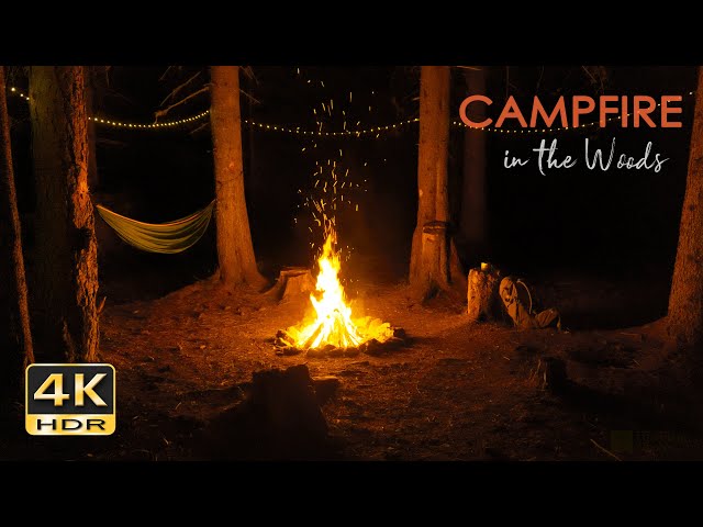 4K HDR Campfire in the Woods - Crackling Fire & Cricket Sounds - Relaxing Nighttime Camping Ambiance