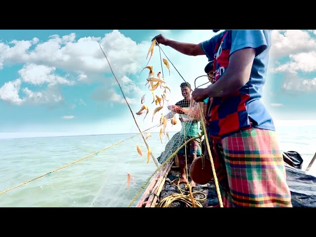 লোটে মাছের জাল ফেলে প্রায় ৩০কেজি মতো মাছ পেয়ে আমরা সবাই খুব খুশি । অল্প টাইমে অনেক টাকার মাছ পড়েছে