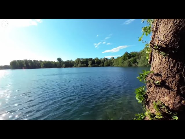 Nature Experience on Lakeside in VR # 4: Lake with Birds Singing to Relax, Meditate and Calm Down