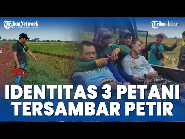 KABAR TERBARU 3 PETANI INDRAMAYU TERSAMBAR PETIR, SEMUA KORBAN MENINGGAL DUNIA, INI IDENTITASNYA