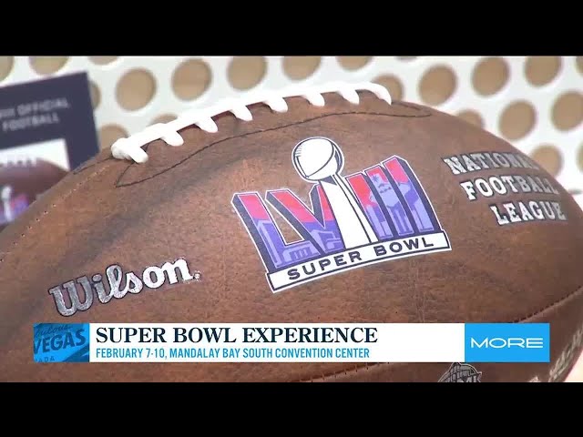 A look inside the NFL fan experience