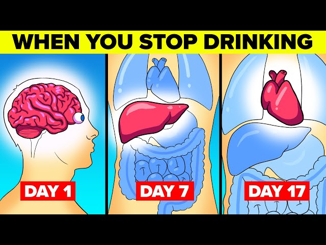 What Happens To Your Body When You Stop Drinking Alcohol