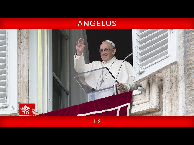 Angelus 25 agosto 2024  Papa Francesco LIS