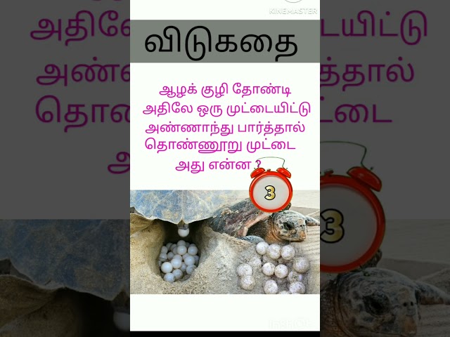 விடுகதை #trending #shortvideo #youtubeshorts #trendingshorts