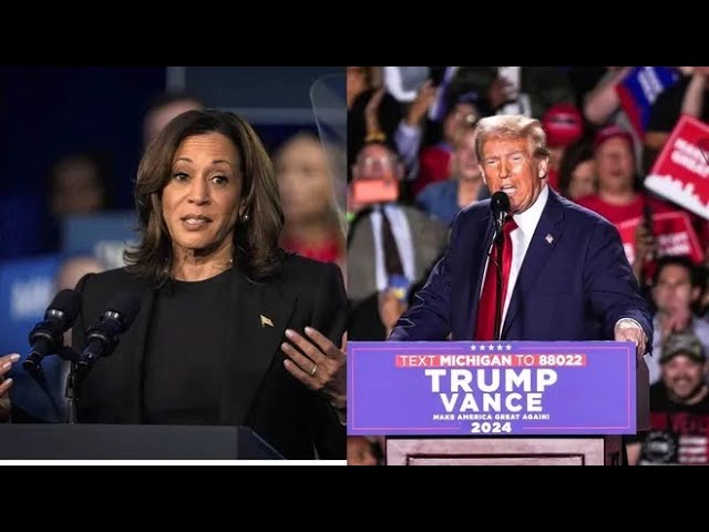 US Vice President, presidential candidate Harris delivers remarks, as Trump wins presidency again