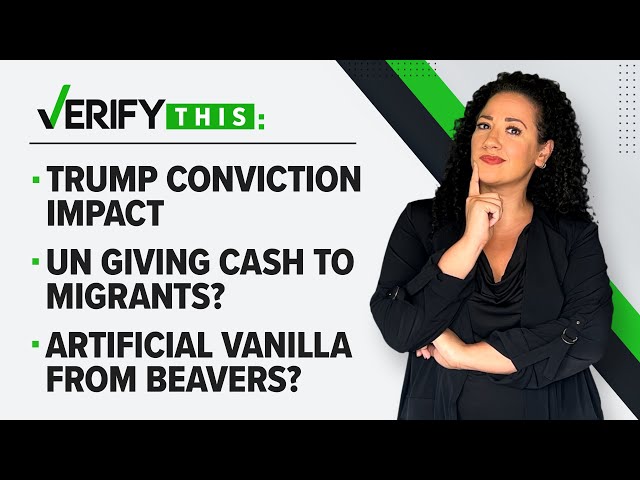 Trump conviction, UN giving cash to migrants and artificial vanilla from beavers? | VERIFY This