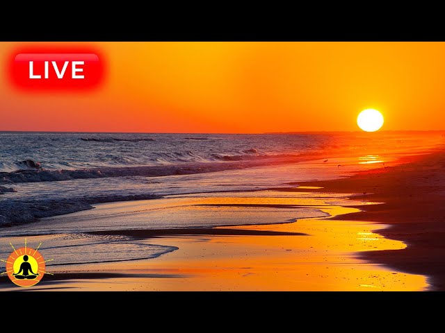 🔴 Relaxing Music 24/7, Stress Relief Music, Sleep Music, Meditation Music, Zen, Ocean Wave Sounds