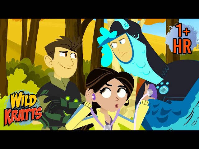 Activate Turkey Powers | Martin's Creature Powers Malfunction | Thanksgiving | Wild Kratts