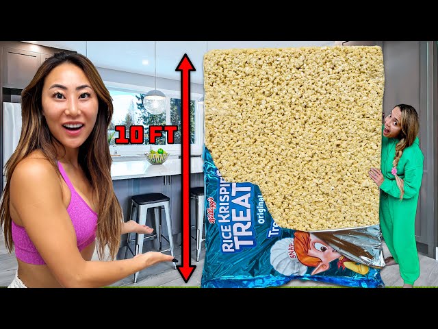 WE MADE THE WORLD'S BIGGEST RICE KRISPY TREAT!!