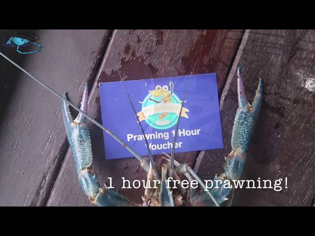 Singapore Prawn Fishing - Random Clips #2