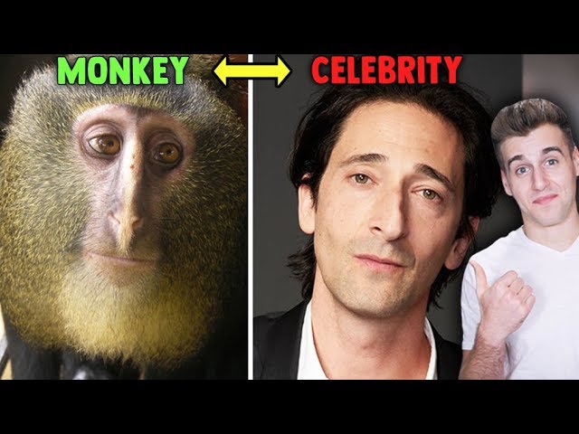 Animals That Look Like Celebrities!