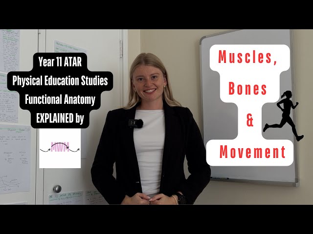 Muscles, Bones & Movement | Functional Anatomy | Year 11 ATAR PE Studies