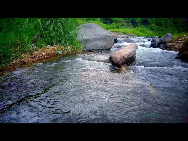 NO ADS 🌊 Calming River White Noise | Green Nature Meditation Sounds