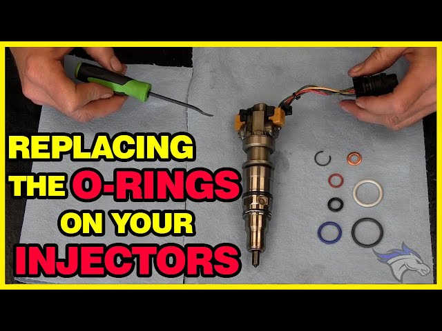 Need to Replace the O-Rings on Your Injectors??? Watch How Easy!!!